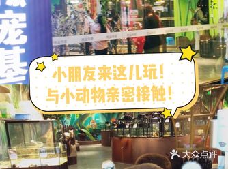小朋友来这里释放能量吧！撩宠乐园！