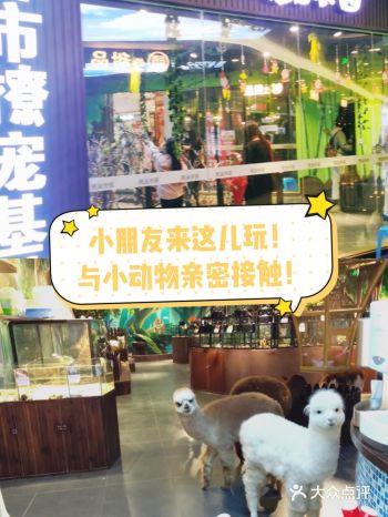 小朋友来这里释放能量吧！撩宠乐园！