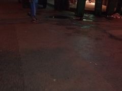 -洪记白水羊头(留学路店)