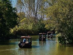 -溱湖国家湿地公园