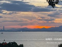 -深圳湾公园(南山区)