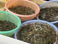 -葑门横街