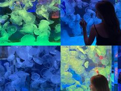 -左海海底世界