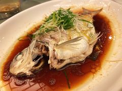 姜蓉清蒸槽白鱼-清远国际酒店御珍轩食街