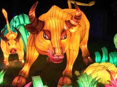 -武汉园博园(武汉自然博物馆)