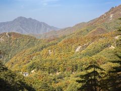 -内乡宝天曼生态旅游区