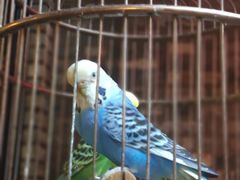 -鱼桥巷·美学川菜