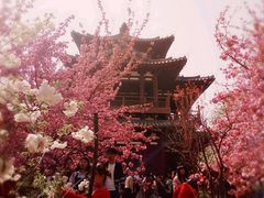 -西安青龙寺遗址景区