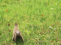 -帽儿山国家森林公园