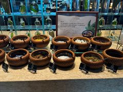 -海南清水湾莱佛士酒店