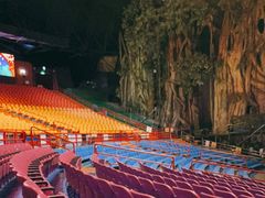 -广州长隆国际大马戏