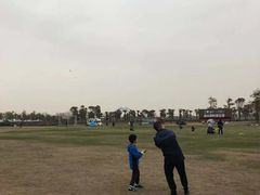 -春花秋色城市公园