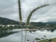 -黄牛肉馆·皖南土菜