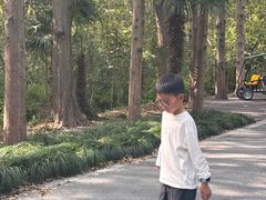 -同里国家湿地公园