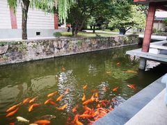-浙江省博物馆(孤山馆区)