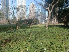 -陆家嘴中心绿地