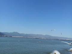 -海埂大坝