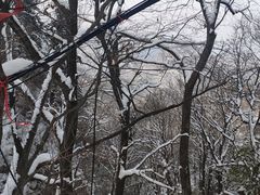 -终南山南五台景区