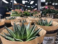 -鹿岛会员店 (龙湖三千集天街店)