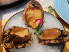 -澳美徕·港式花胶鸡火锅(高新万达店)