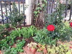 -人民公园(罗湖区)