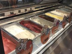 -极拉图·现制冰淇淋(大卫城店)