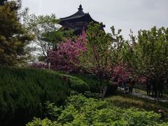 -西安青龙寺遗址景区