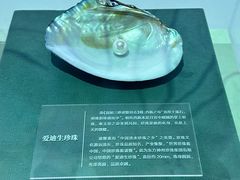 -诸暨博物馆