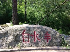 -白水寺森林公园