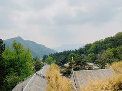 -潭柘寺景区