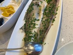 -船歌·鱼水饺青岛菜(金狮广场店)