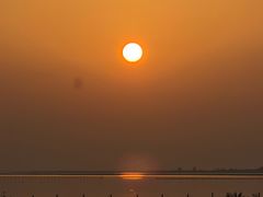 -洪湖湿地生态园