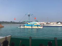 -秦皇岛乐岛海洋王国