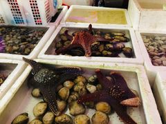 -外伶仃岛海鲜市场