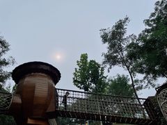-欢乐松鼠谷