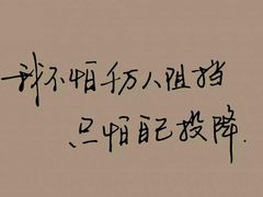 -长安壹号