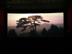 -AMG海上明珠影城(上海环球港RealDCinema店)