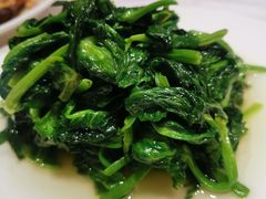 酒香豆苗-新吉士·上海菜(浦东LCM置汇旭辉店)