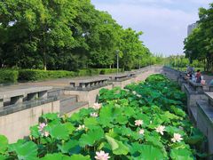 -蠡湖大桥公园