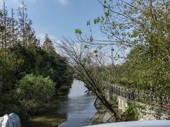 -上海长兴岛郊野公园