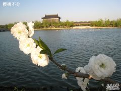 -南汇桃花村