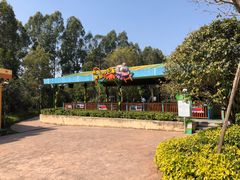 -美的鹭湖探索王国