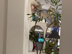 -春树下·树屋花房西餐厅(罍街AS1980店)