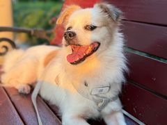 -米村拌饭(杭州国大城市广场店)