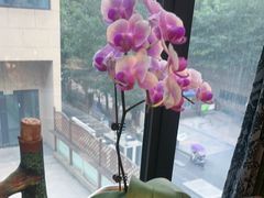 -花间别院(凤凰店)