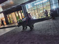 -北京华联购物中心(天通苑店)