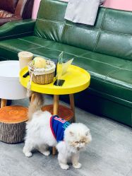 -M2匠心美甲美睫半永久