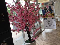 -麦当劳(塔园路店)