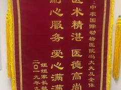 -中农国际动物医院24小时·猫科·骨科·急重症中心
