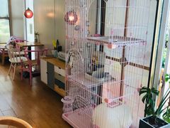 -灯塔咖啡馆BOOK·Coffee Shop